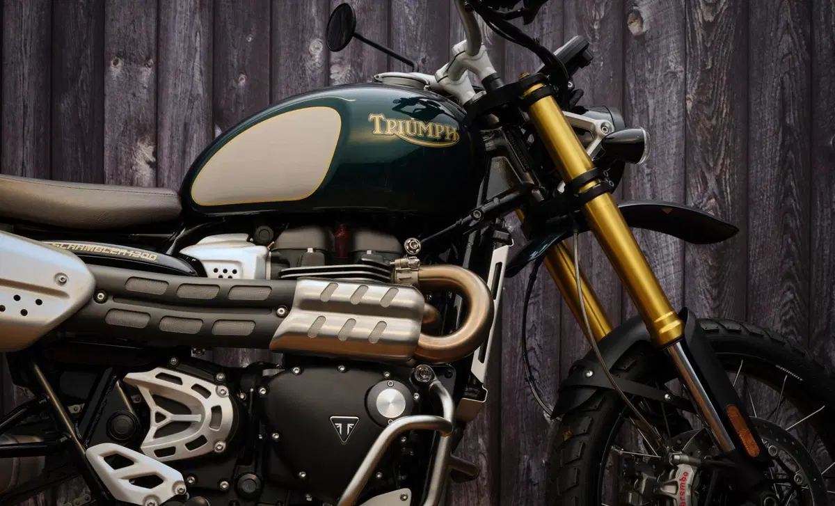 Triumph Scrambler 1200 Scrambler 1200 Steve McQueen Edition (2021 - 22) (14)