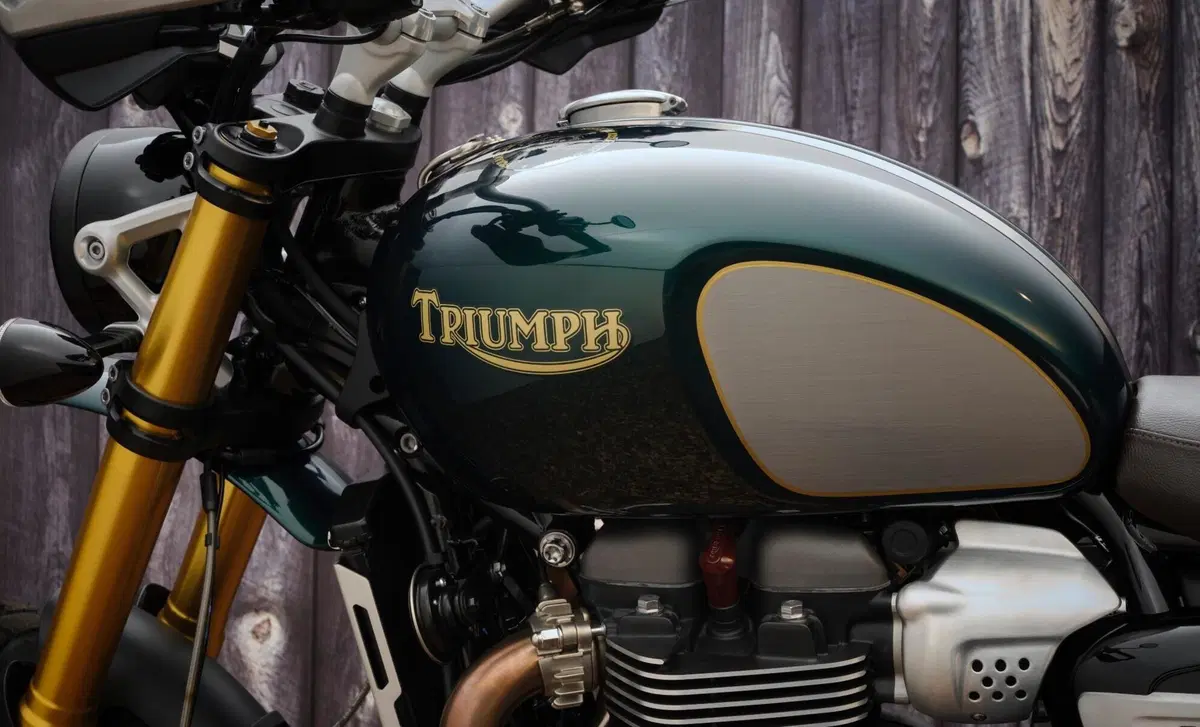 Triumph Scrambler 1200 Scrambler 1200 Steve McQueen Edition (2021 - 22) (15)