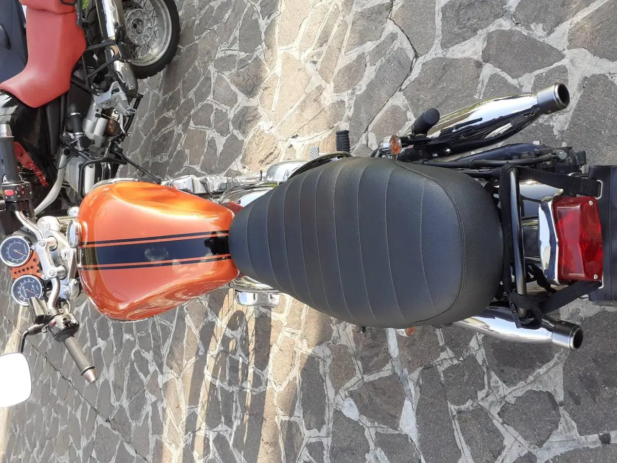 Triumph Thunderbird 900 (1995 - 01) (3)