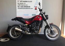 Benelli Leoncino 500 Trail (2021 - 24) nuova