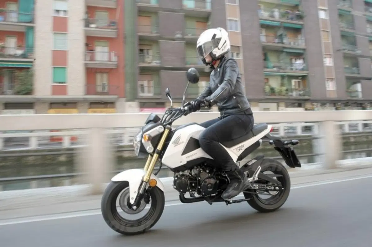 Honda MSX 125 (3)