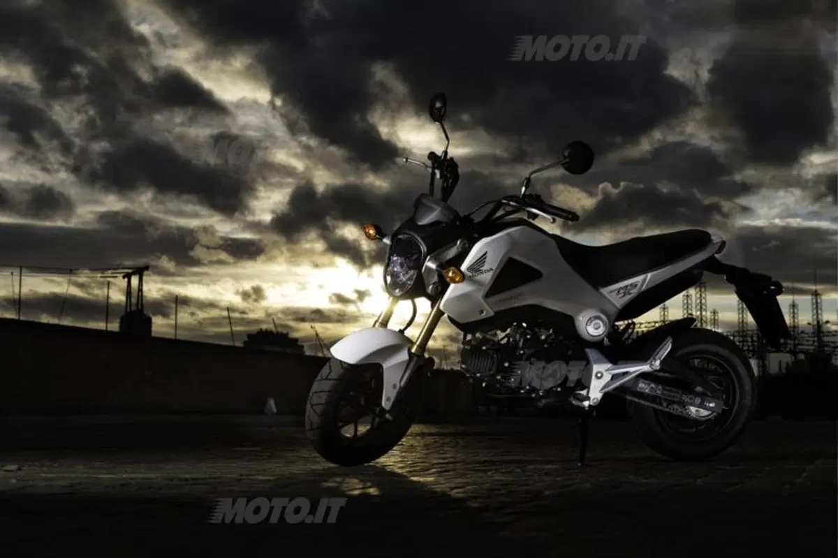 Honda MSX 125 (21)