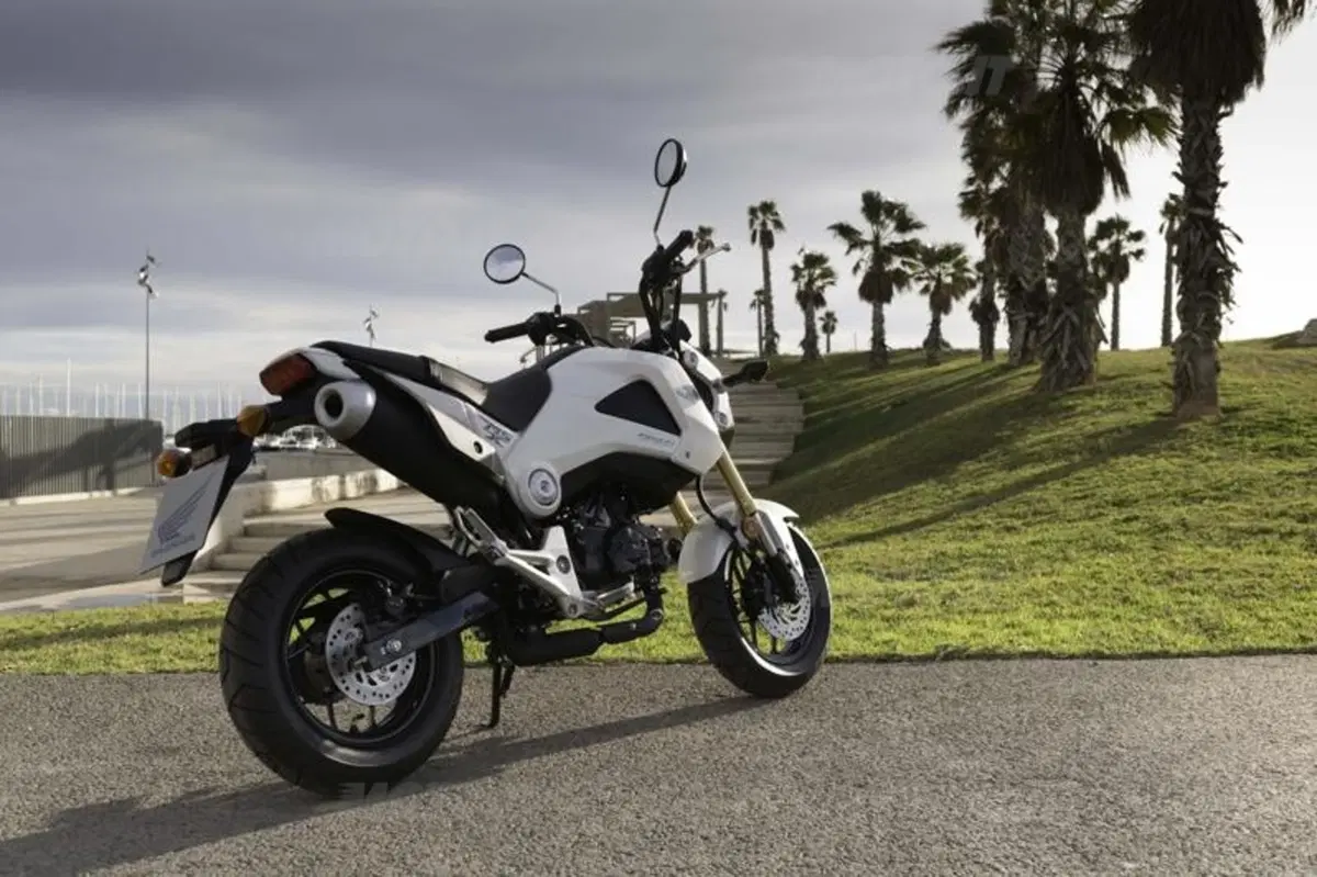 Honda MSX 125 (22)