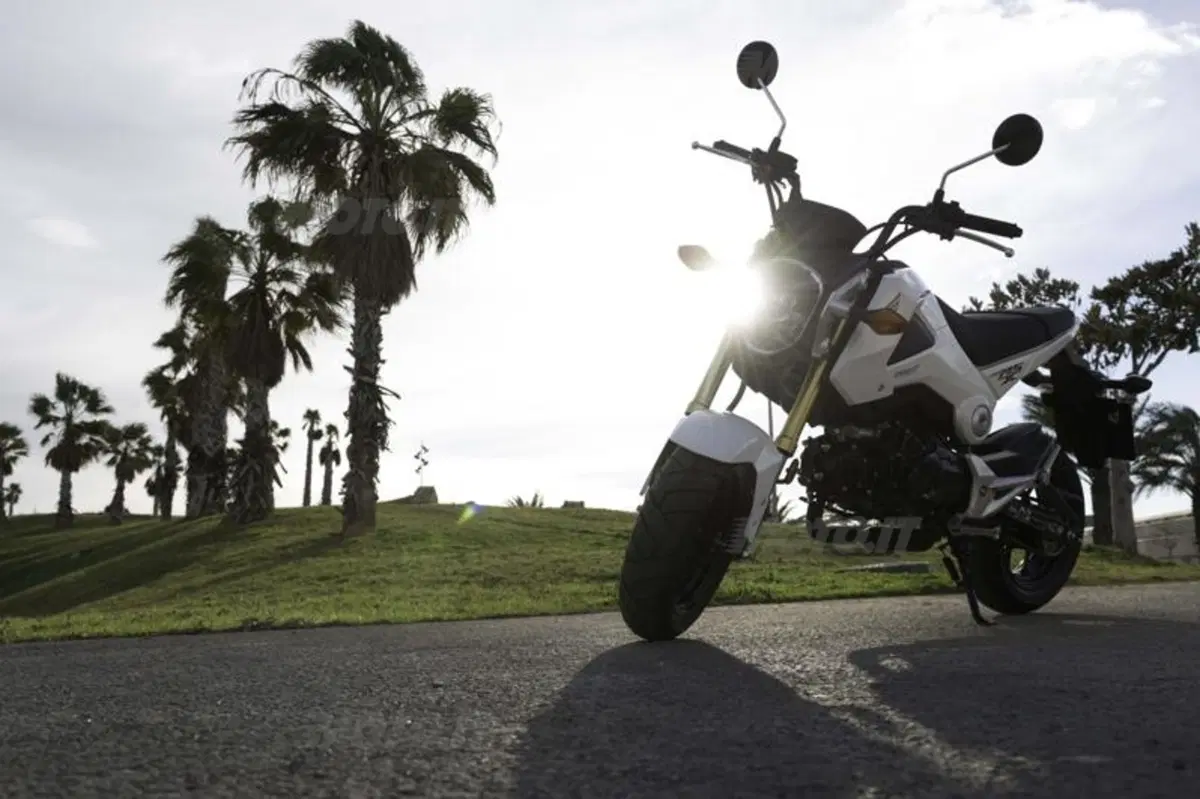 Honda MSX 125 (23)
