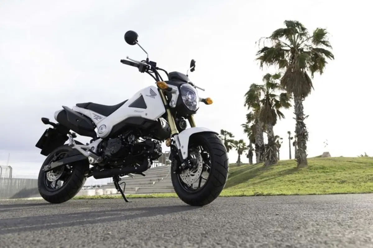 Honda MSX 125 (24)