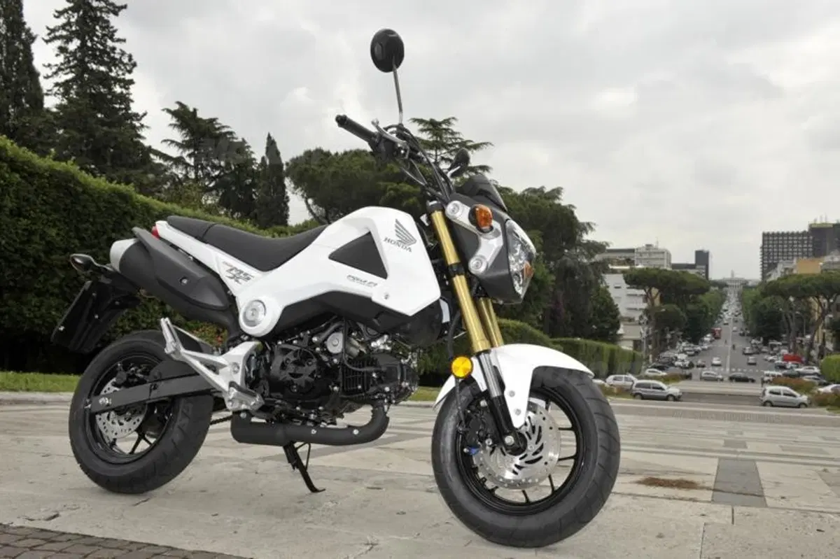 Honda MSX 125 (28)