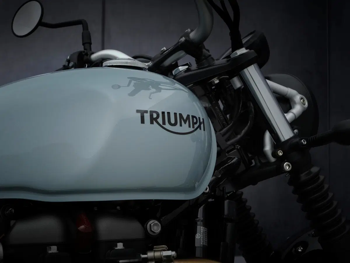 Nuove Triumph Street Scrambler 2021 e Street Scrambler Sandstorm limited edition [NON PUBBLICARE EMBARGO FINO AL 20 APRILE ORE 13] (9)