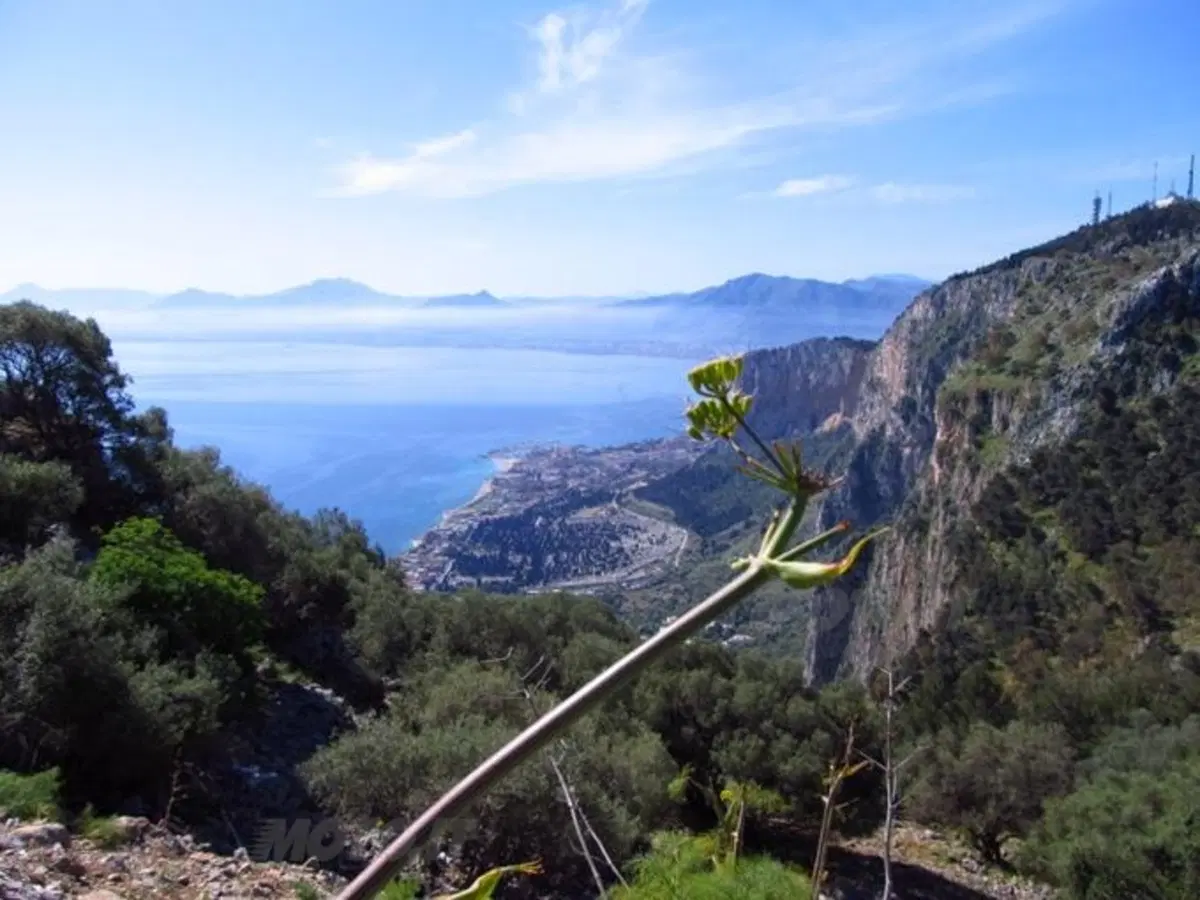 Sicilia terra mia... dal 25 aprile al 1° maggio 2012 (3)