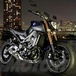 Yamaha MT-09: svelato il prezzo, in Italia a settembre