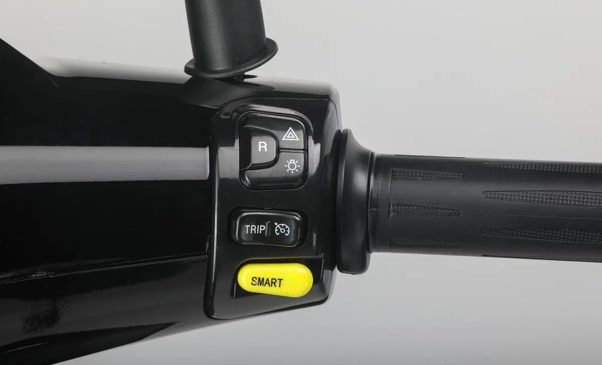 Ecooter E2 City E2 City Plus (2021 - 22) (20)