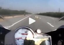 A 230 km/h con la BMW S1000RR, ma qualcosa attraversa la strada... [VIDEO CHOC]