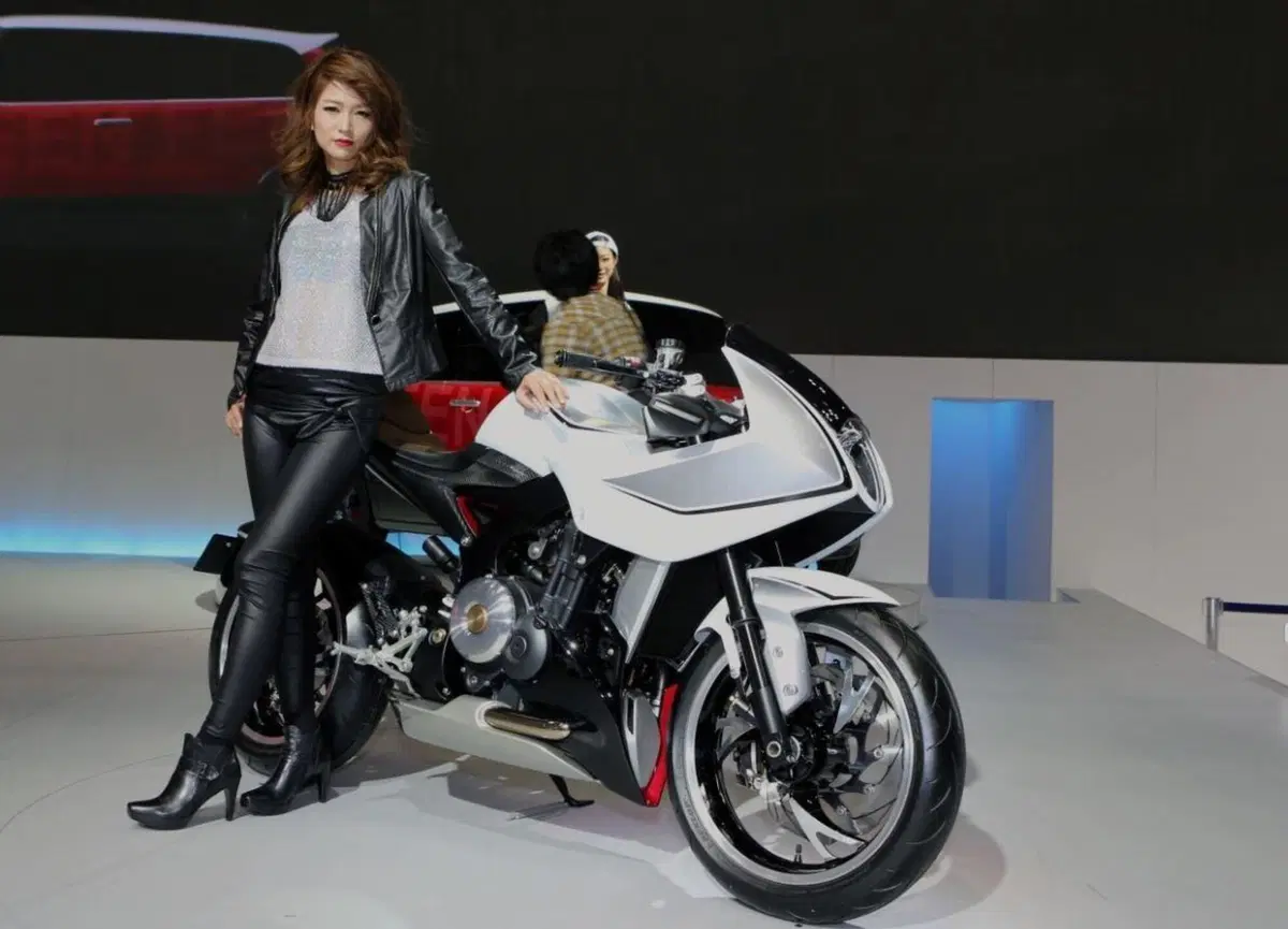Suzuki, un nuovo motore bicilindrico, ma non a "V", per le future SV e V-Strom?