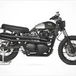 Anvil Motociclette Ard, che bella Triumph Scrambler