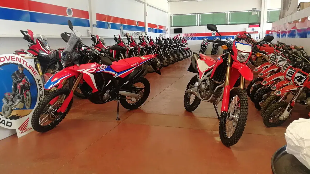Honda CRF300L e Rally TEST: sono piccole, ma pronte a tutto (3)