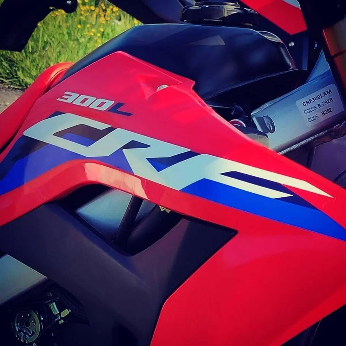 Honda CRF300L e Rally TEST: sono piccole, ma pronte a tutto (4)