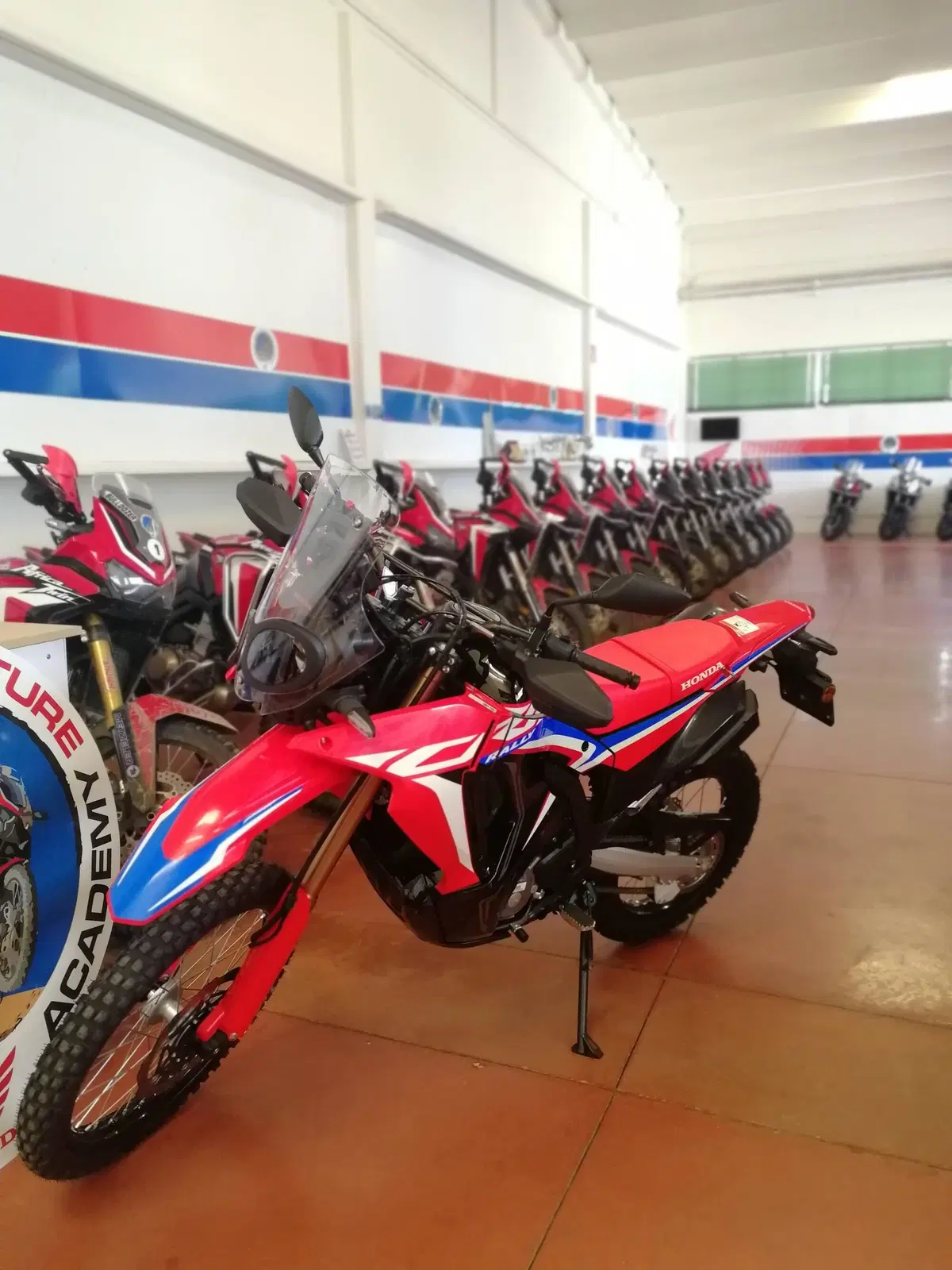 Honda CRF300L e Rally TEST: sono piccole, ma pronte a tutto (14)