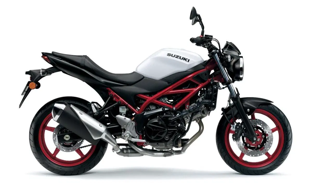 Suzuki SV 650 e SV 650X 2021. In Giappone e presto in Italia