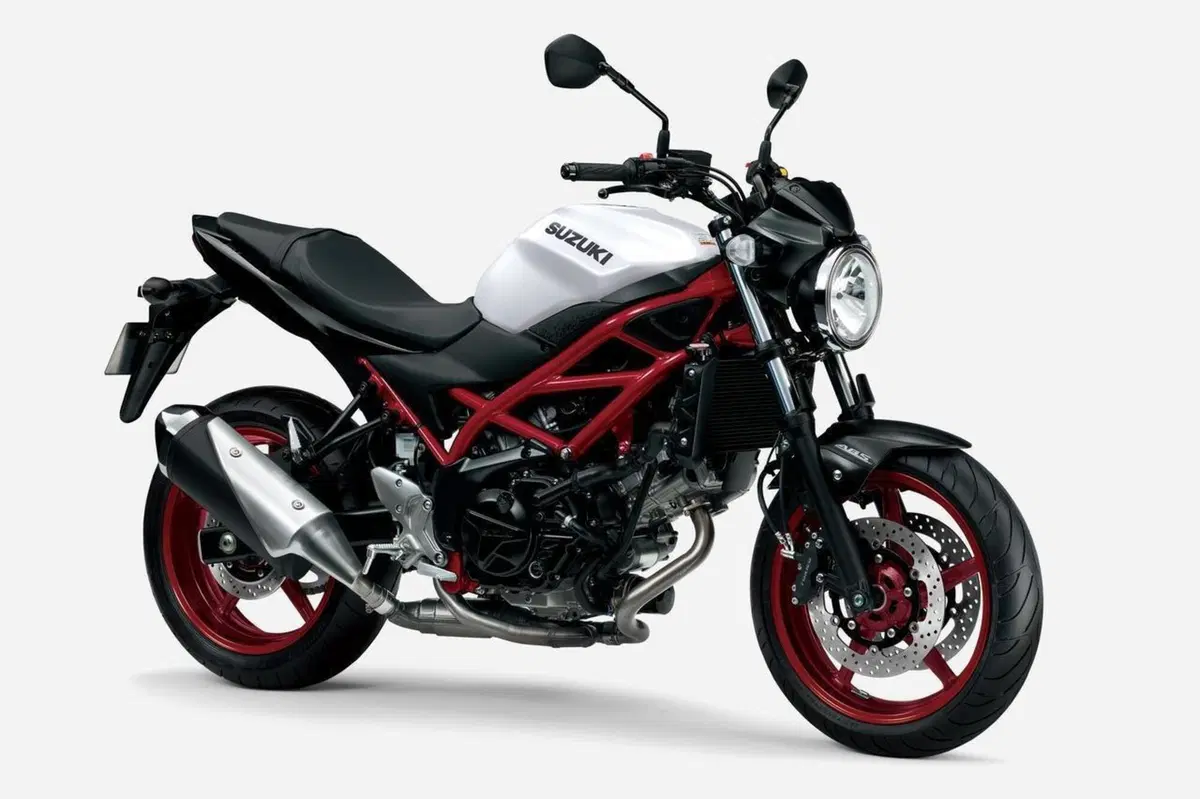 Suzuki SV 650 e SV 650X 2021. In Giappone e presto in Italia (2)