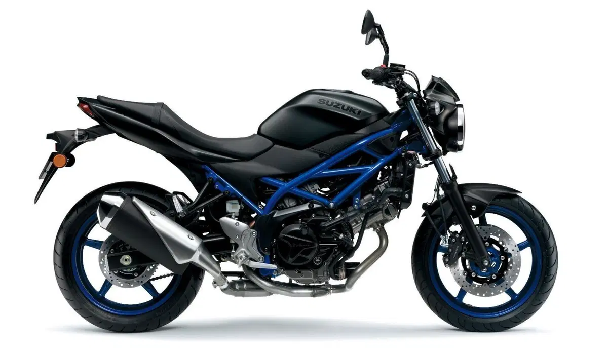 Suzuki SV 650 e SV 650X 2021. In Giappone e presto in Italia (3)