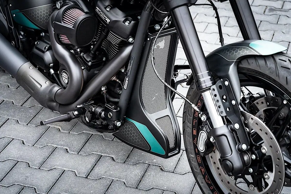 Harley-Davidson FXDR “Jester”. Omaggio alla Yamaha M1 Petronas (13)