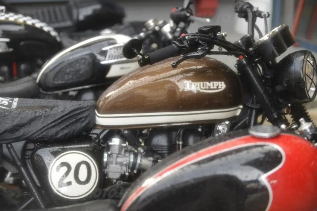 Triumph Tridays 2013: i tre giorni di Neukirchen (58)