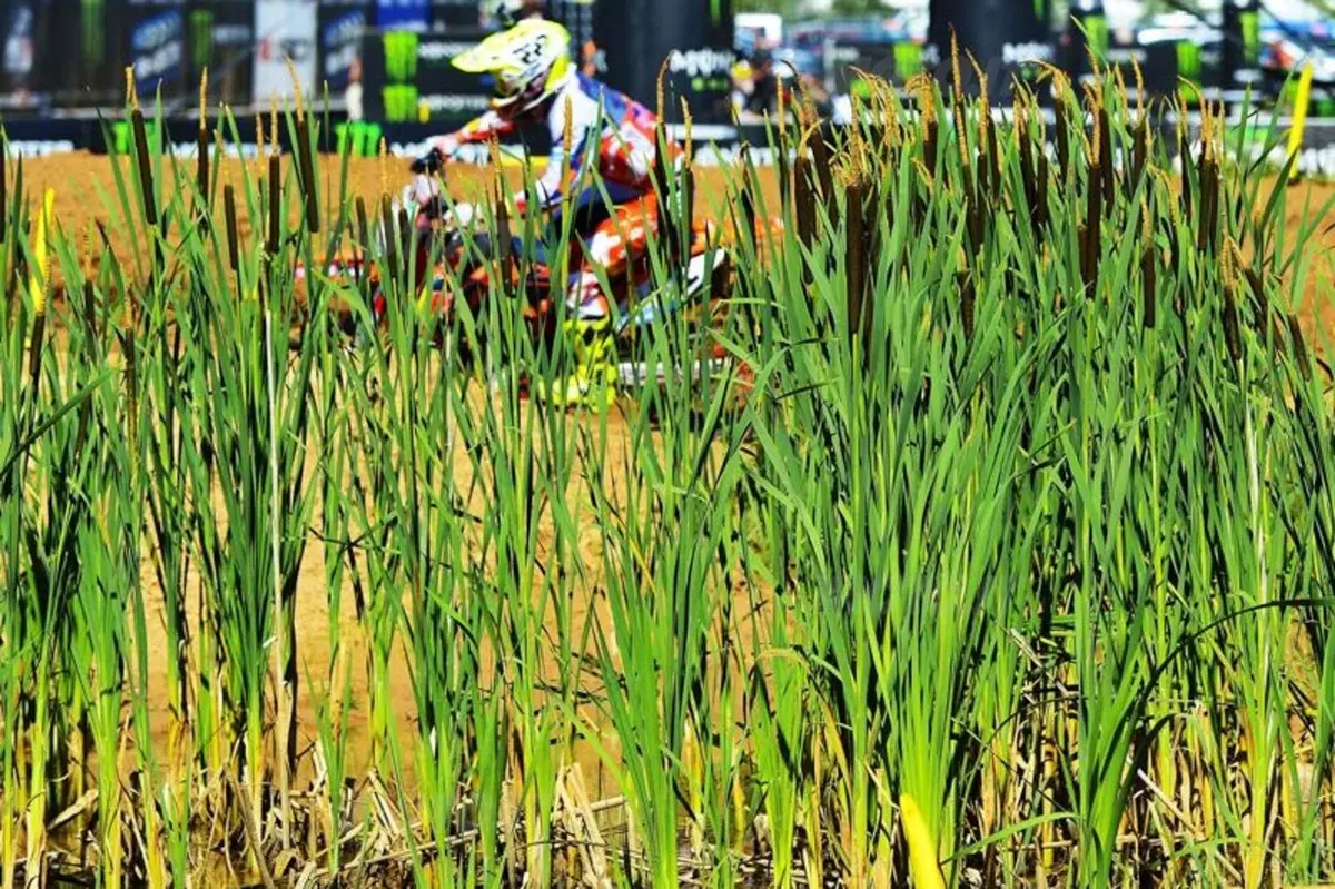 MX. Gli scatti più spettacolari del GP di Lettonia (36)