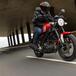 Yamaha XSR125: la piccola Faster Sons