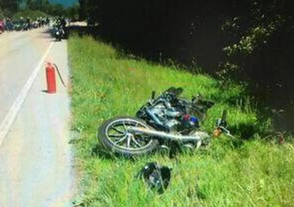 Belluno, capriolo centrato da motociclista