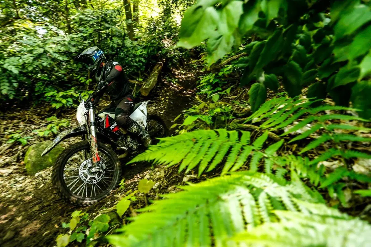 Rieju MR 300 2T PRO VS Ranger: TEST, enduro a confronto! Facile o cattiva? (60)