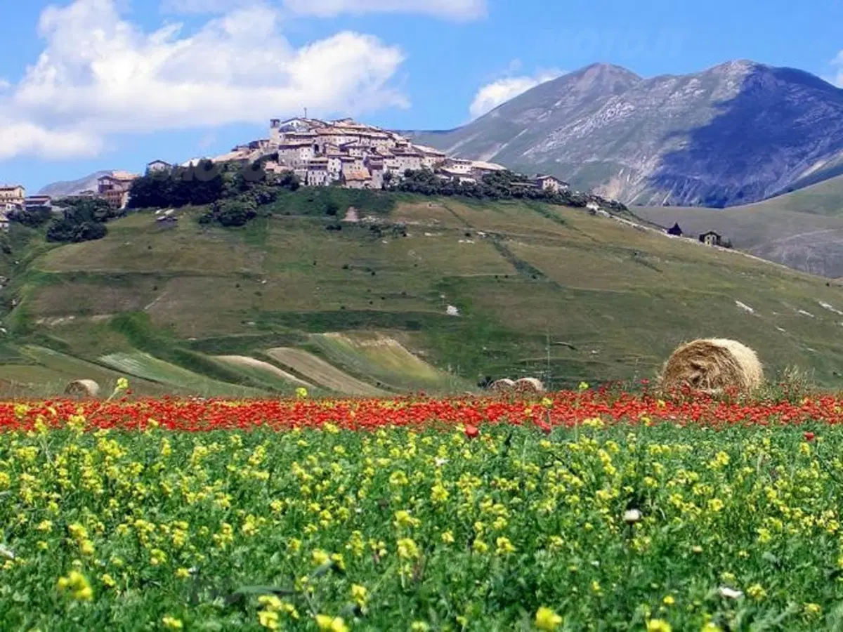 12° raduno FazerItalia dal 6 all'8 settembre a Norcia (2)