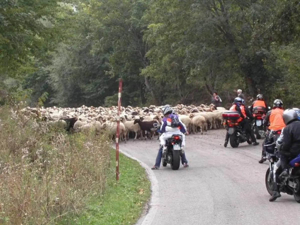 12° raduno FazerItalia dal 6 all'8 settembre a Norcia (7)