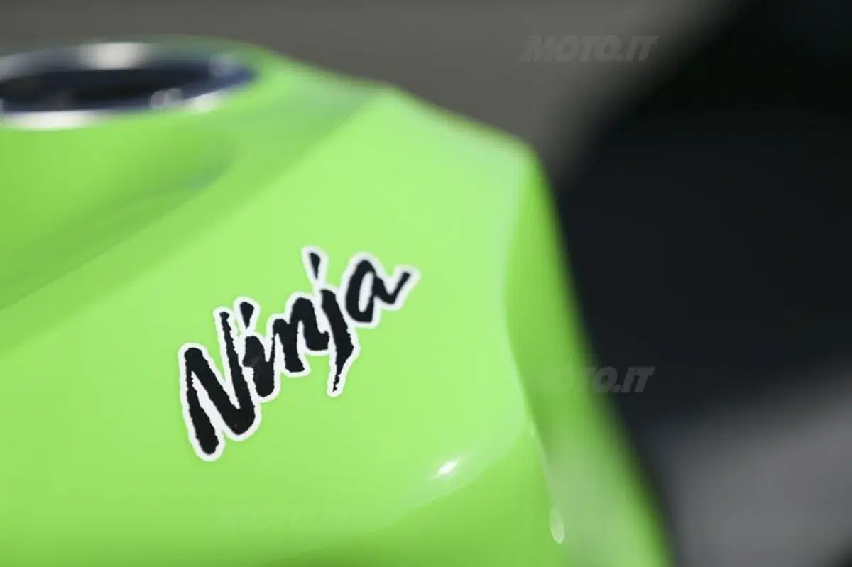 Kawasaki Ninja ZX-6R 636  (28)