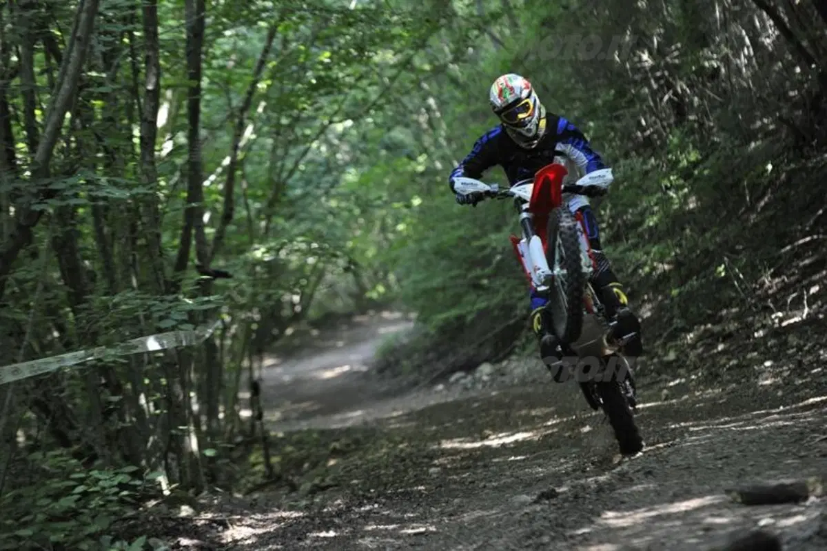 Beta Enduro RR 2014  (2)