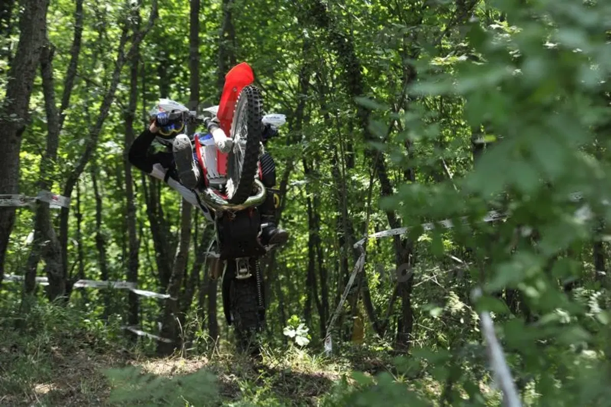 Beta Enduro RR 2014  (9)