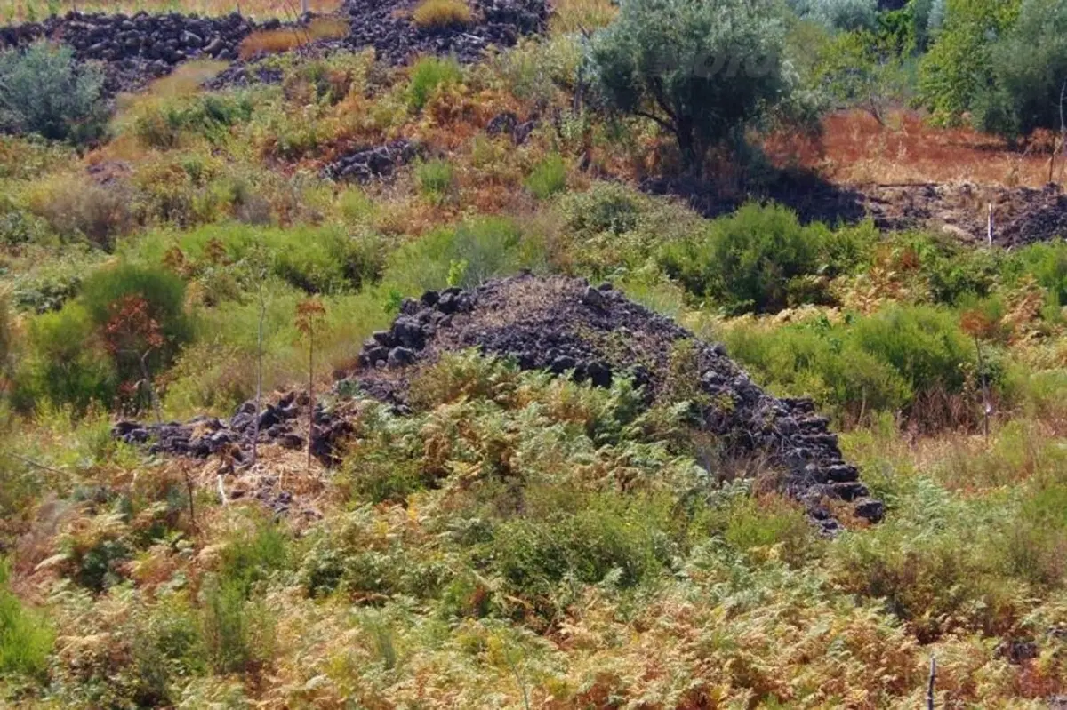 Viaggi in moto: Piramidi in Sicilia