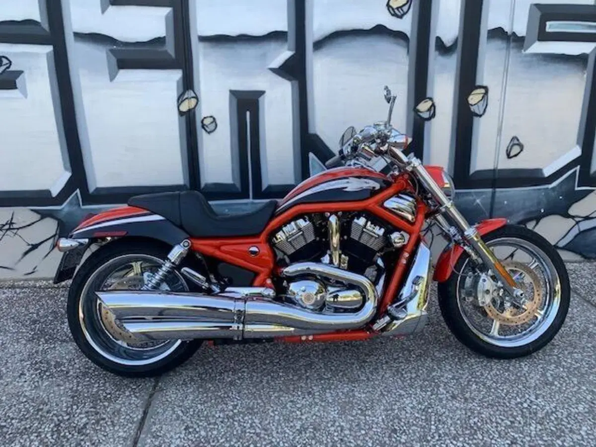 Harley-Davidson CVO - Custom Vehicle Operations 1250 V-Rod (2005 - 06) VRSCSE (2)