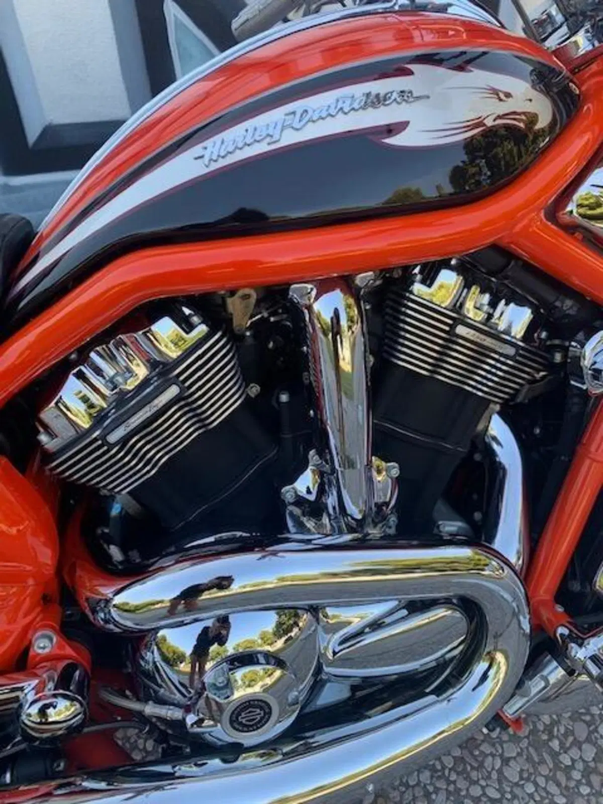 Harley-Davidson CVO - Custom Vehicle Operations 1250 V-Rod (2005 - 06) VRSCSE (4)