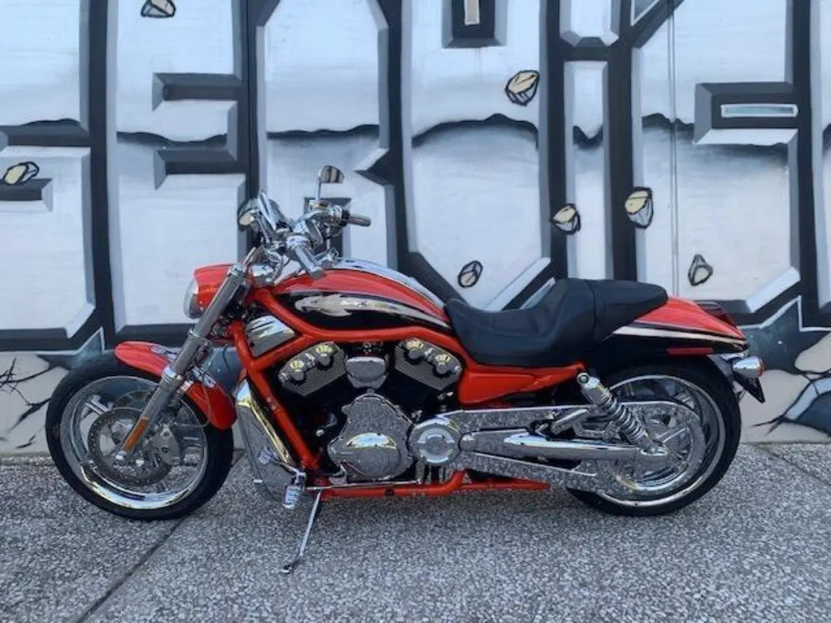 Harley-Davidson CVO - Custom Vehicle Operations 1250 V-Rod (2005 - 06) VRSCSE (5)