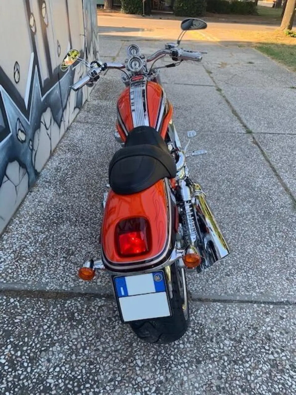 Harley-Davidson CVO - Custom Vehicle Operations 1250 V-Rod (2005 - 06) VRSCSE (6)