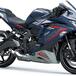 Kawasaki Ninja ZX-25R: nuove colorazioni (per la Thailandia)