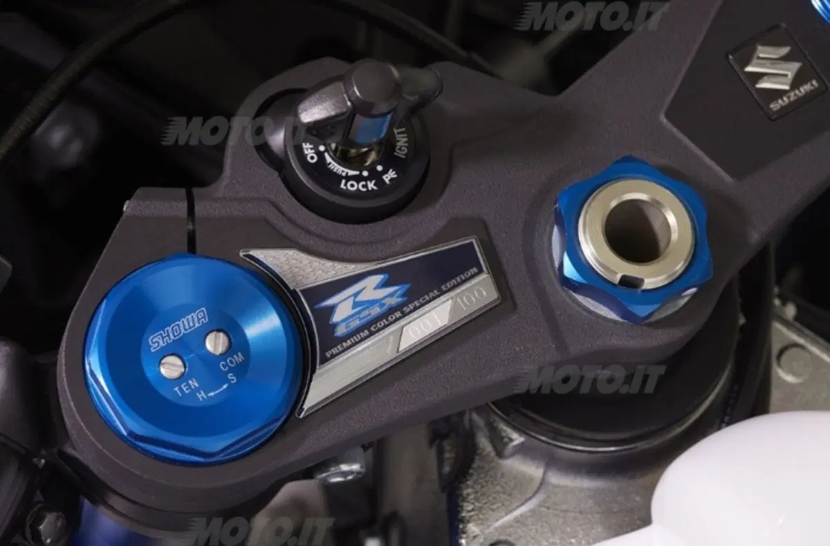 Suzuki GSX-R1000 SE (2)