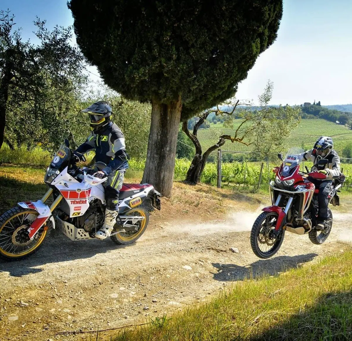 Picco-Perfetto alla 1000 Sassi 2021 su Ténéré e Africa Twin: è stato fantastico (5)