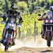 Picco-Perfetto alla 1000 Sassi 2021 su Ténéré e Africa Twin: è stato fantastico