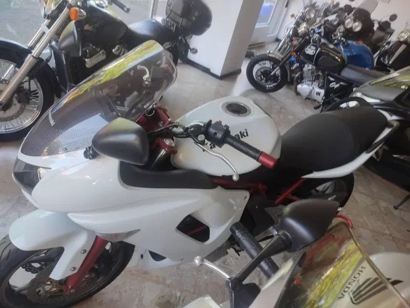 Kawasaki ER-6N (2009 - 11) (3)
