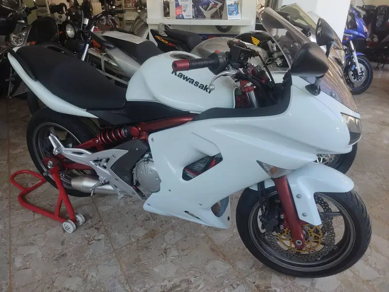 Kawasaki ER-6N (2009 - 11) (6)