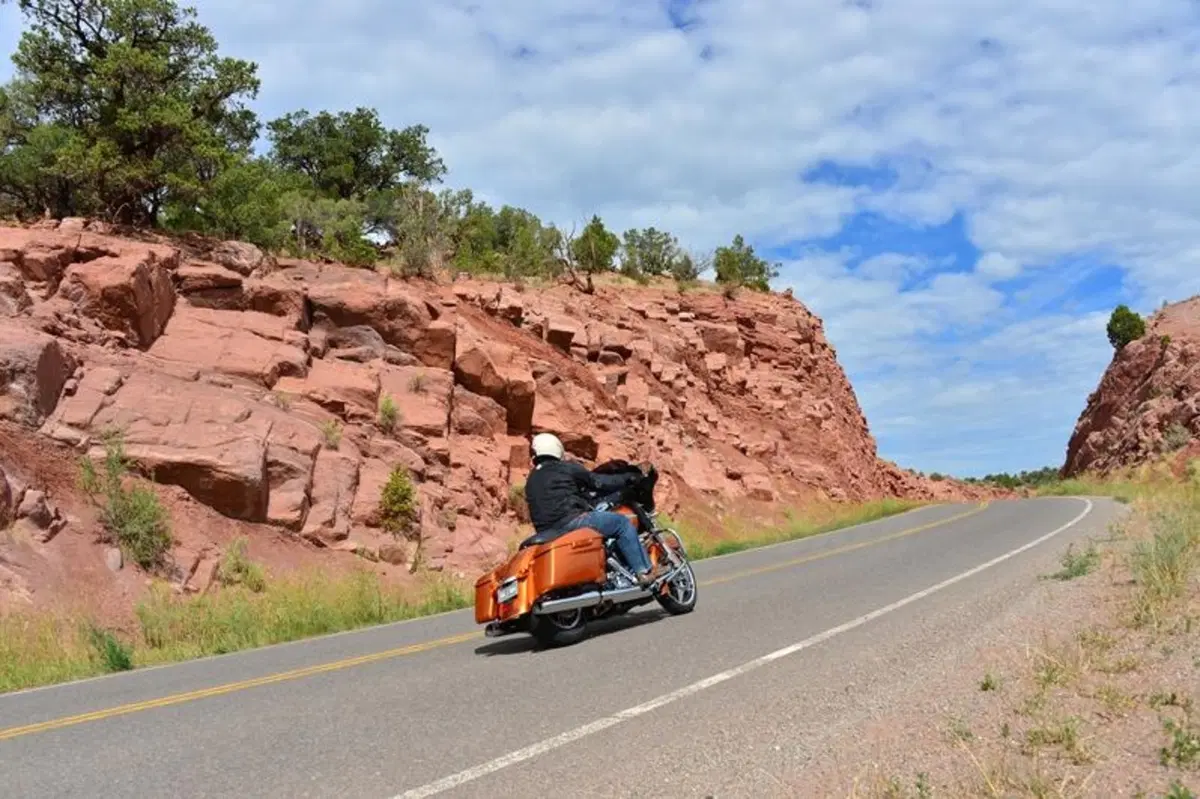 Harley-Davidson Touring 2014 (12)