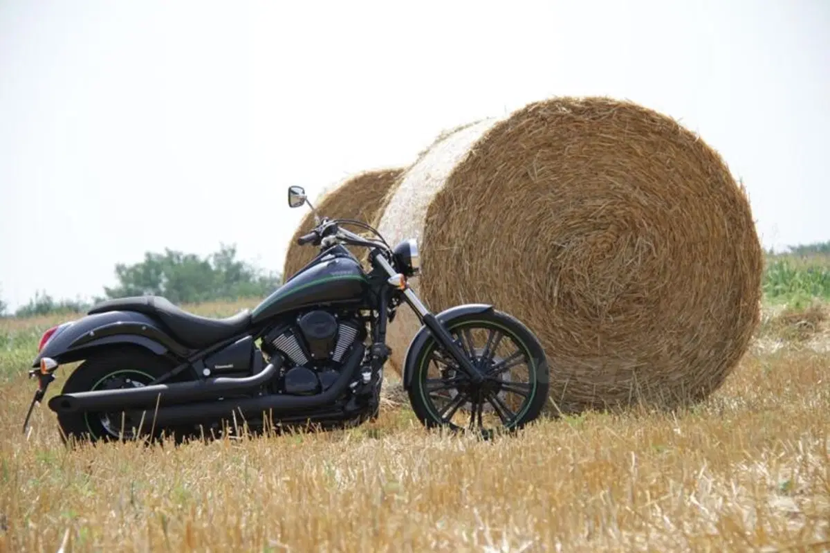 Kawasaki VN 900 Custom  (16)