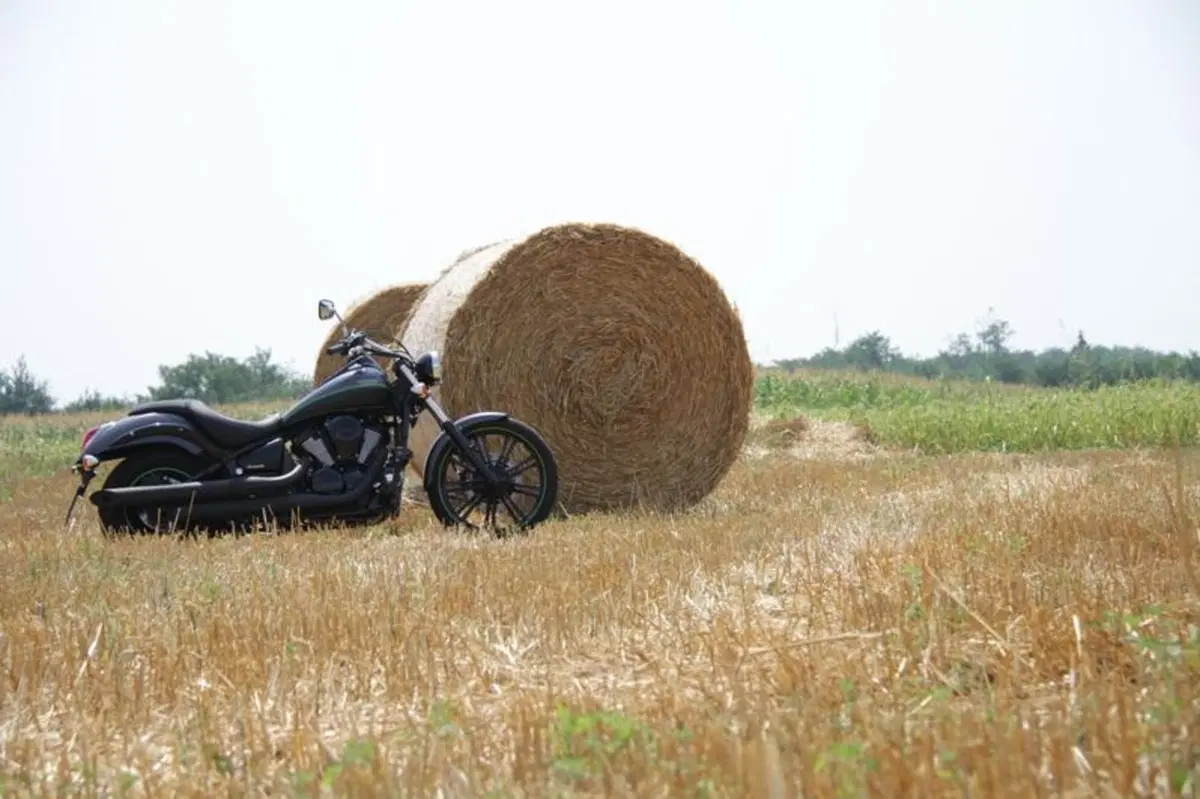 Kawasaki VN 900 Custom  (17)