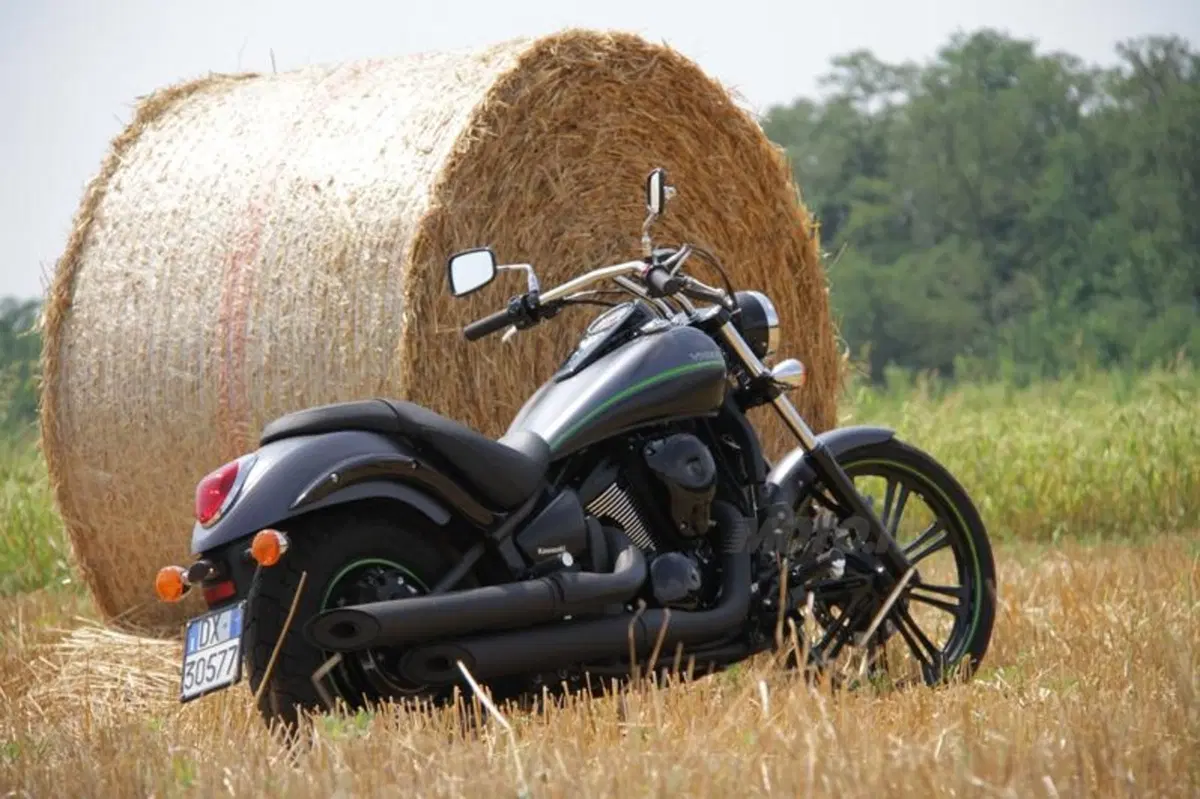 Kawasaki VN 900 Custom  (19)