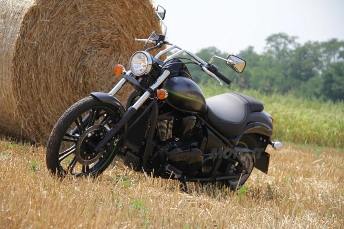 Kawasaki VN 900 Custom  (24)